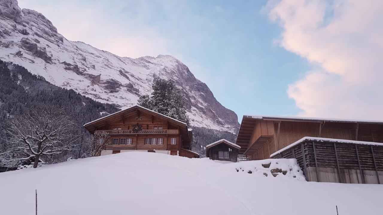 Chalet Bei Der Arve Гриндельвальд Экстерьер фото