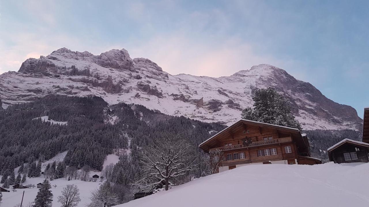 Chalet Bei Der Arve Гриндельвальд Экстерьер фото