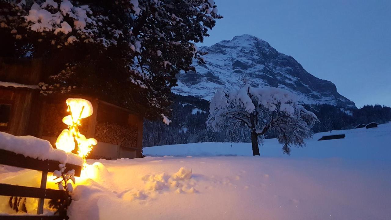 Chalet Bei Der Arve Гриндельвальд Экстерьер фото